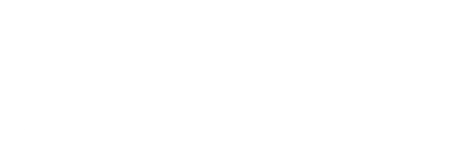 Diesel Tuner Solutions